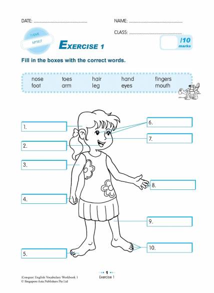 Primary 1