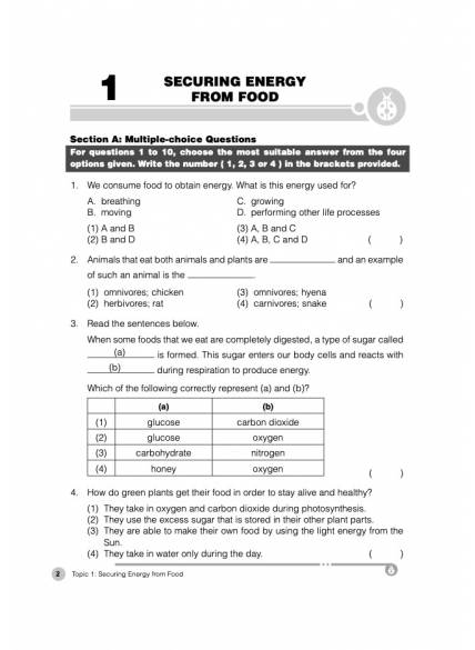 Assessment Books