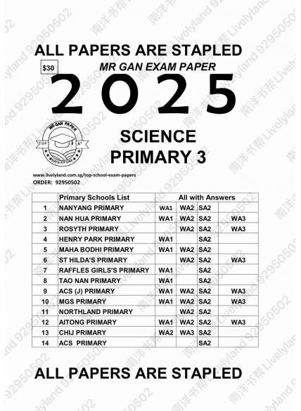 Primary 3