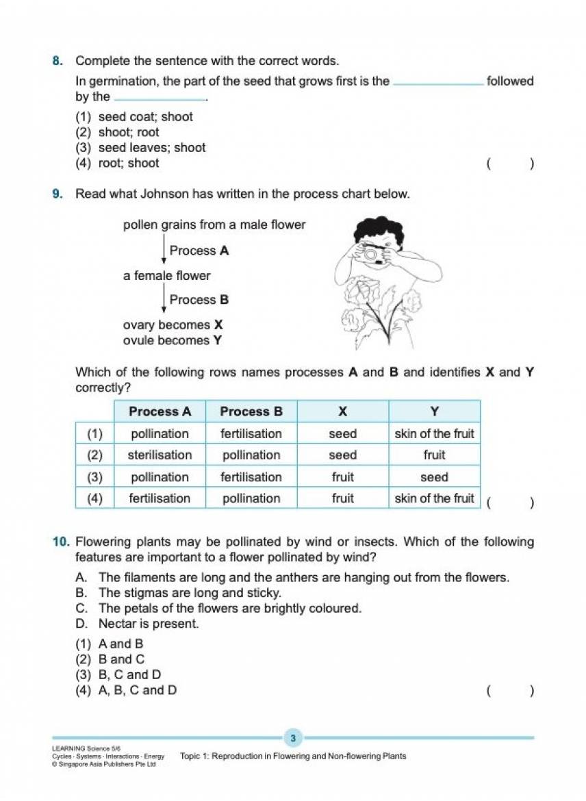 Learning Science Upper Block 5/6 [Cycles, Systems, Interactions, Energy]
